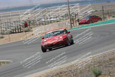 media/May-03-2025-Lucky Dog Racing (Sat) [[206de64b9d]]/Turn 4 B (1150am-130pm)/
